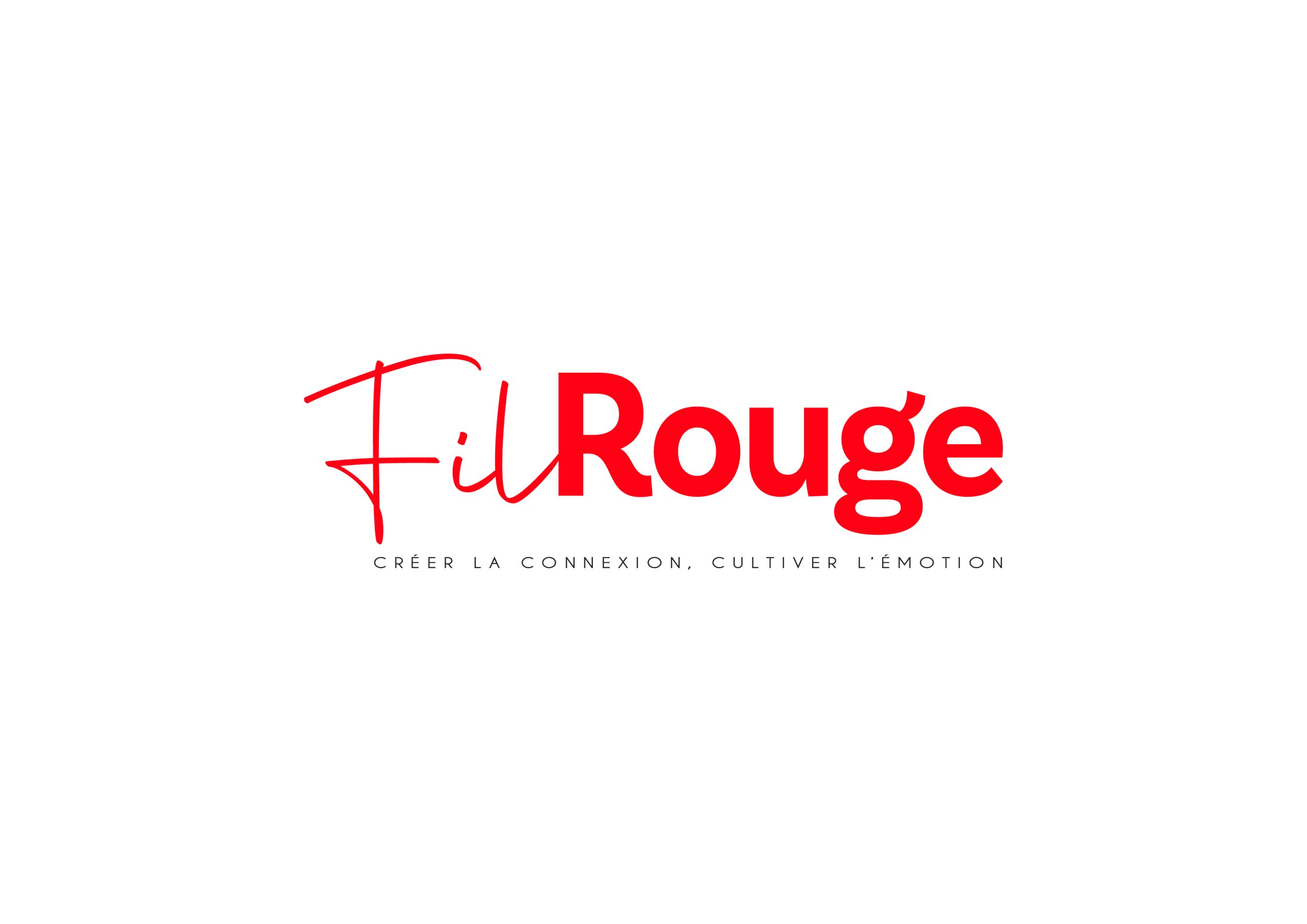 FILROUGE_V5_Plan de travail 1 copie 22